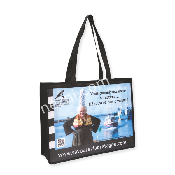 Custom Printed Promotional Reusable Shopping Nonwoven Bag.